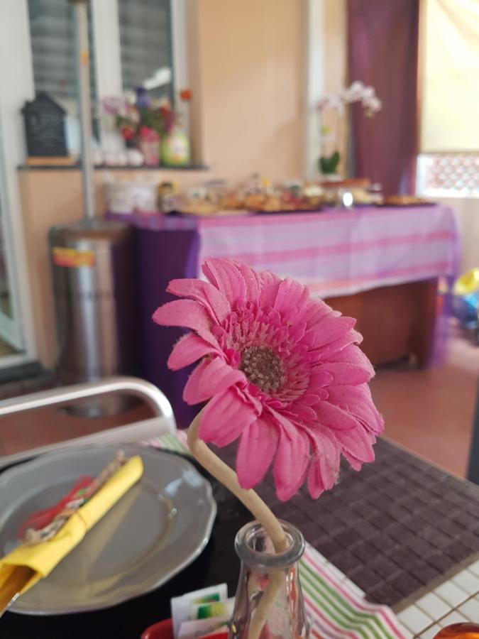ピエトラ・リーグレ Ghiro Ghiotto Bed & Breakfast エクステリア 写真